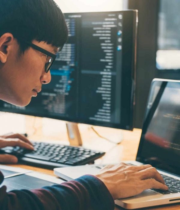 Professional Development programmer working in programming website a software and coding technology